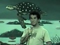 Clique para ver o vídeo